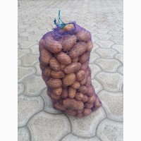 Продам картофель ОПТ