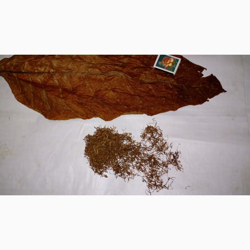 Фото 3. Продам табак высокого качества, резаный лапшой по доступной цене