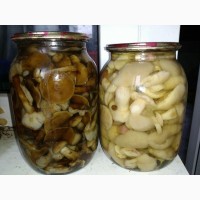 Продам грибы маринованные:белые, маслята, опята