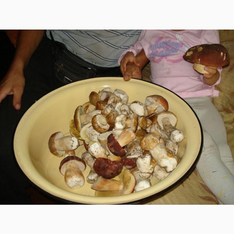 Фото 5. Продам грибы маринованные:белые, маслята, опята