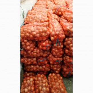 Продаж цибулі ріпчастої, Черкаська область