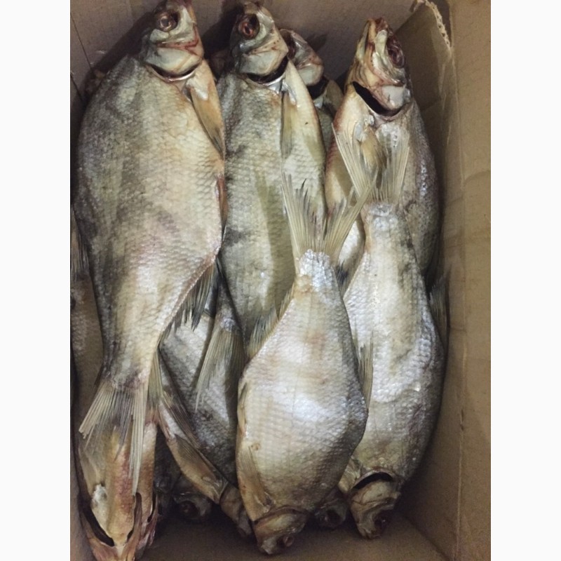 Фото 8. Продам рыбу свежемороженую. Мелкий, средний и крупный ОПТ