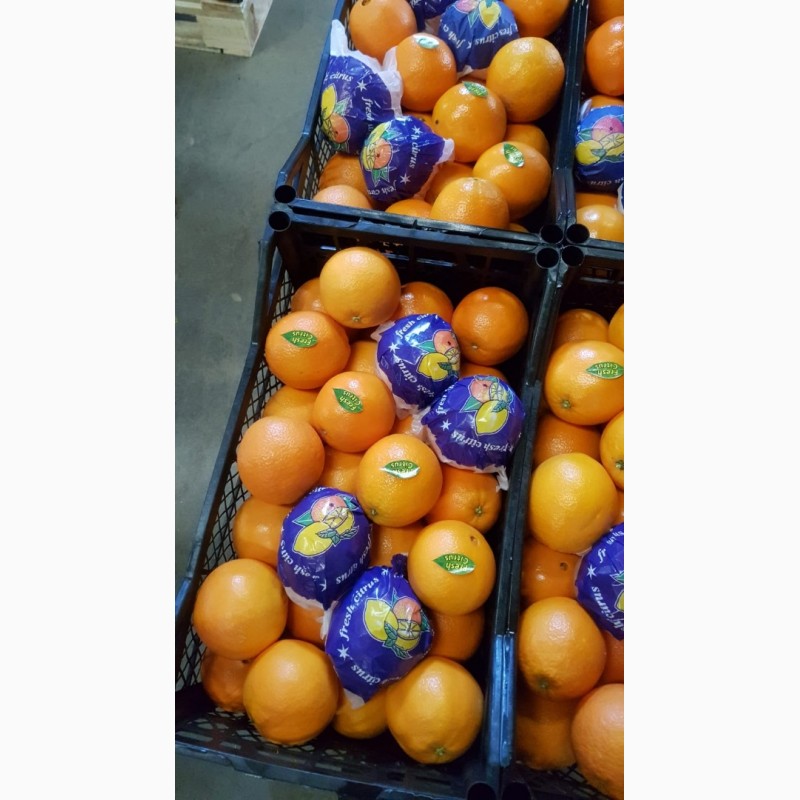 Фото 2. Мандарины, апельсины, лимоны___ ОПТ не дорого__в Турции
