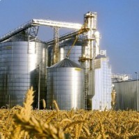 Пшеница закупка СРТ и FCA