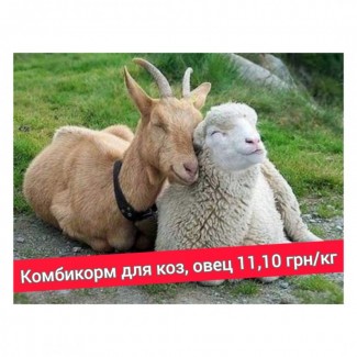 Продам универсальный комбикорм для коз и овец