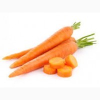 Куплю миту моркву нантського типу від 20т