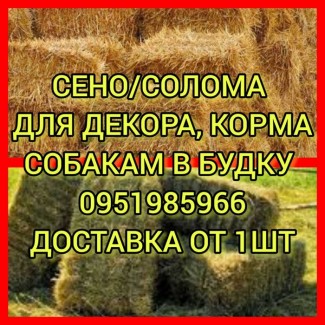 Сено для лошадей, сельхоз животных. Доставка бесплатная по Украине. Форма оплаты любая