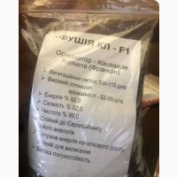 Продаю насіння сояшнику сорт Фушія КЛ-1F