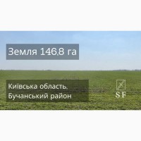 Земля 146, 8 га Київська область