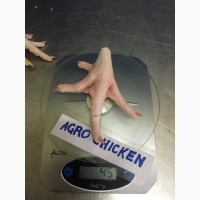 Куриная лапа класс А(chicken paw grade A)
