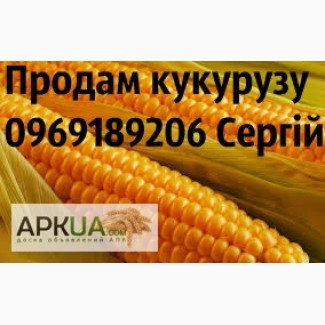 Продам гібриди кукурузи