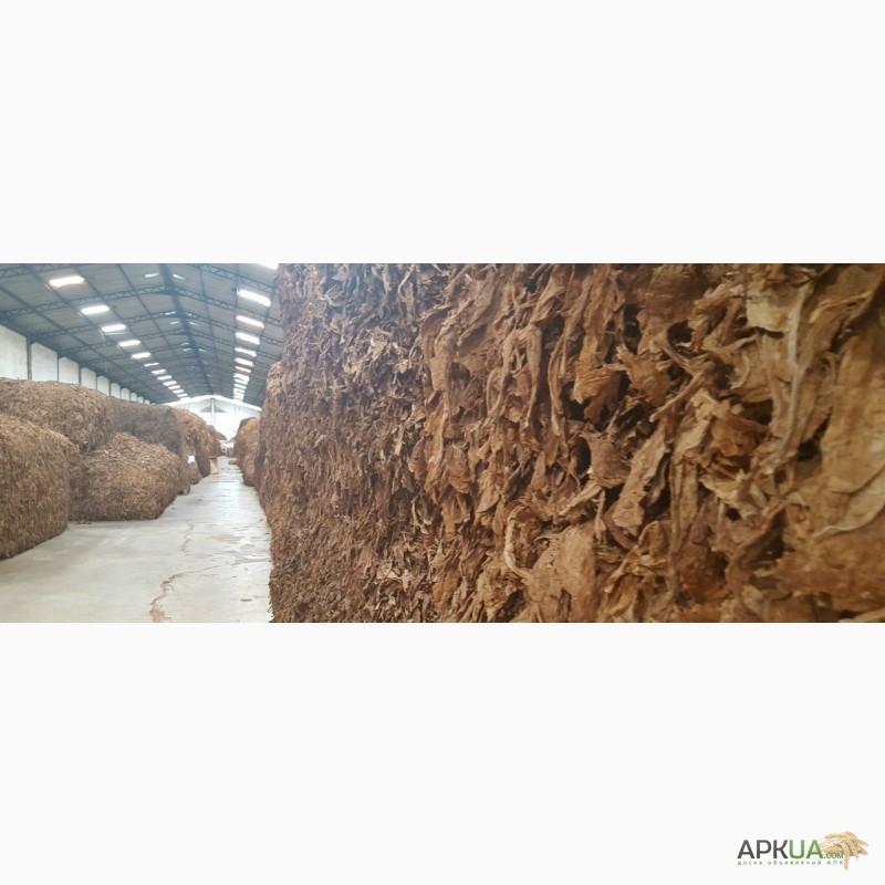 Фото 2. Табак Листовой Оптом от 20 тонн из Индонезии – Тип Jatim VO; Сорт JAB/LL; ферментированный