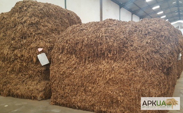 Фото 3. Табак Листовой Оптом от 20 тонн из Индонезии – Тип Jatim VO; Сорт JAB/LL; ферментированный
