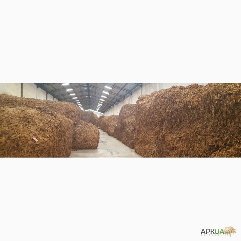 Фото 4. Табак Листовой Оптом от 20 тонн из Индонезии – Тип Jatim VO; Сорт JAB/LL; ферментированный