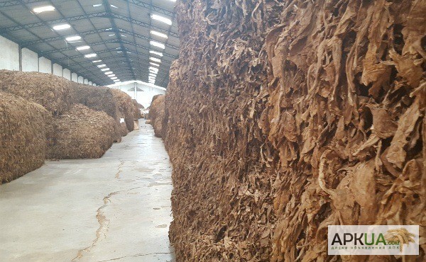 Фото 6. Табак Листовой Оптом от 20 тонн из Индонезии – Тип Jatim VO; Сорт JAB/LL; ферментированный