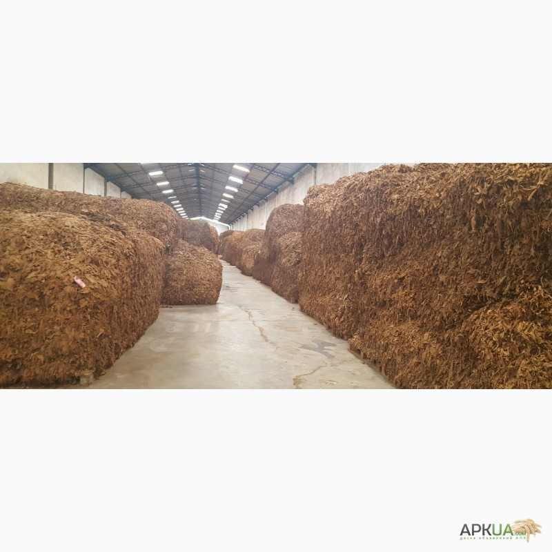 Фото 8. Табак Листовой Оптом от 20 тонн из Индонезии – Тип Jatim VO; Сорт JAB/LL; ферментированный