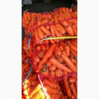 Продам морковь мытую 2 сорт оптом