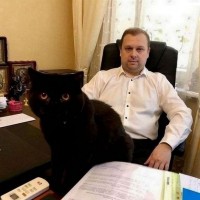 Услуги семейного адвоката в Киеве