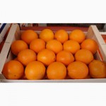Апельсины. Прямые поставки из Испании