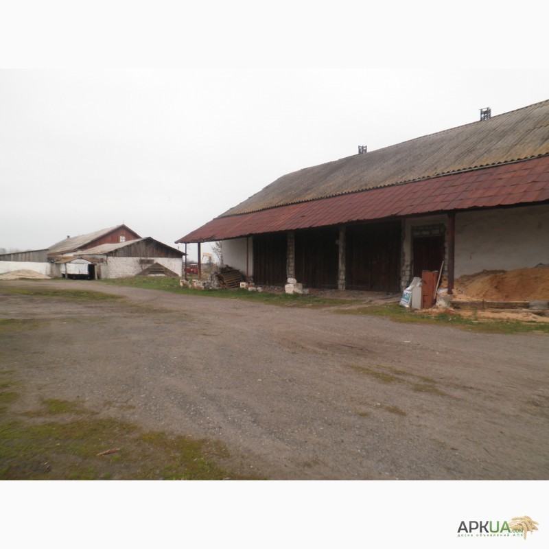 Фото 2. Продам территорию 2, 4 гектара, действующая свиноферма в Полтавской области