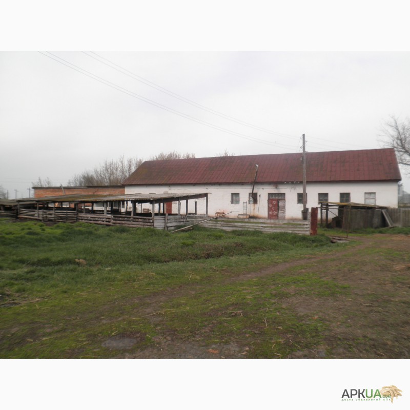Фото 4. Продам территорию 2, 4 гектара, действующая свиноферма в Полтавской области