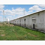 Продам свинокомплекс в Черкаській області, Чернобай