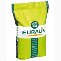 Семена Euralis Bella от официального дистрибьютора