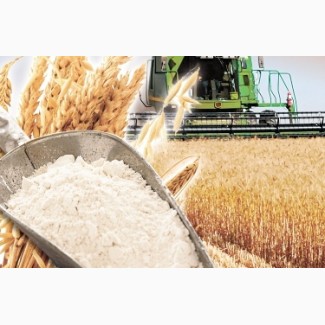 Переработка пшеницы на давальческих условиях