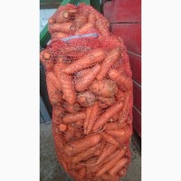 Оптом продам морковь некондиция