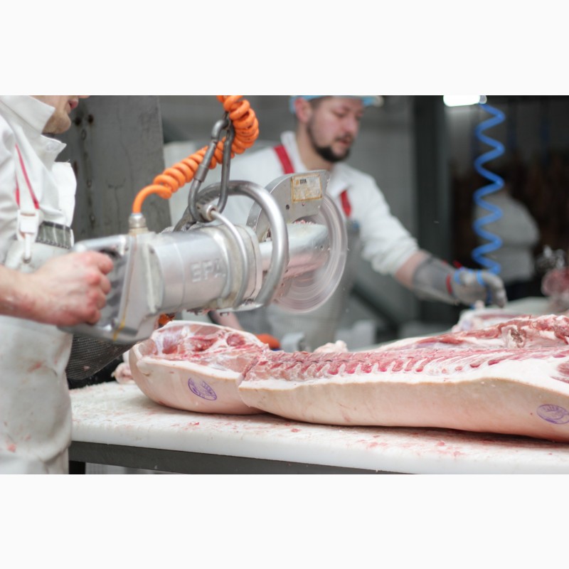 Фото 3. М#039;ясо оптом від виробника. Напівтуші свинні, елементи та субпродукти, свинина з доставкою