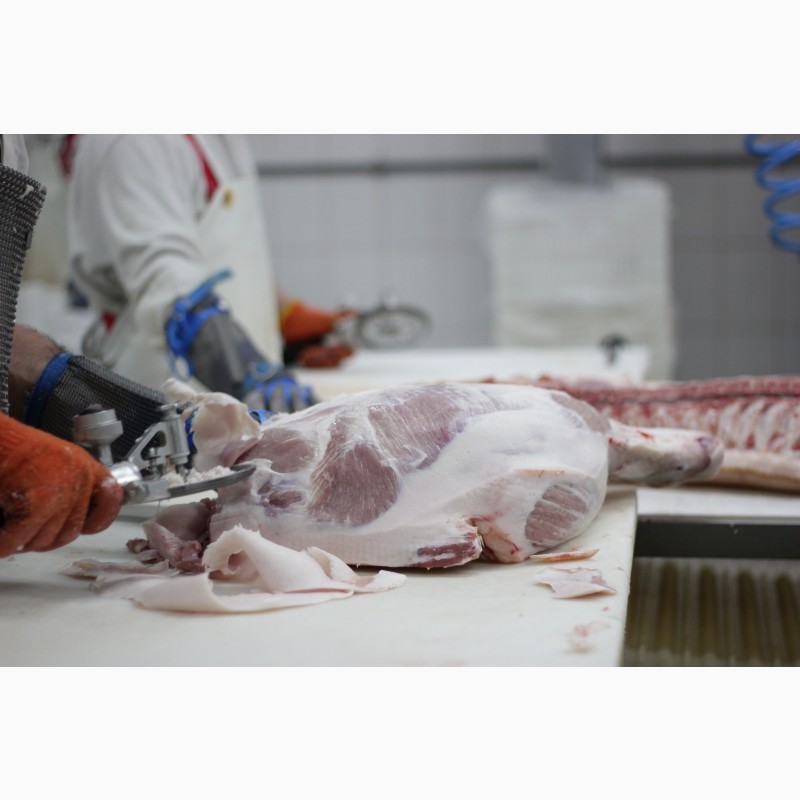 Фото 4. М#039;ясо оптом від виробника. Напівтуші свинні, елементи та субпродукти, свинина з доставкою