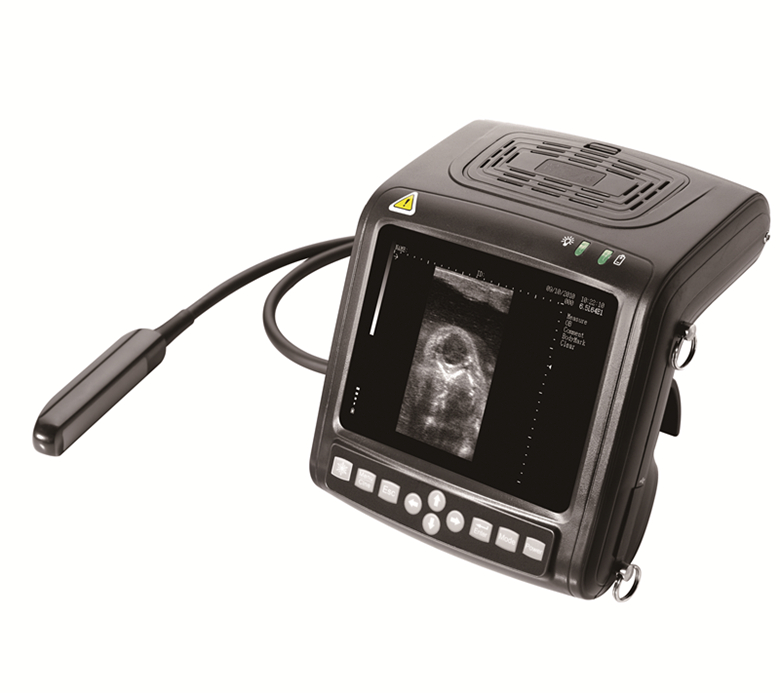 BC5200V Портативный ветеринарный УЗИ сканер для коров