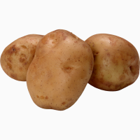 Продам домашний картофель
