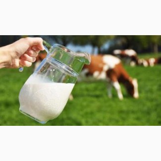 Продам коров#039;яче молоко