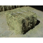 Продам сено клевера - конюшина, Киевская область.