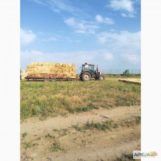 Продам солому ячневую урожай 2017