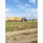 Продам солому ячневую урожай 2017