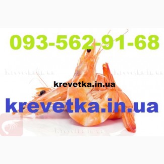 Гамуз креветка, крабы черноморские