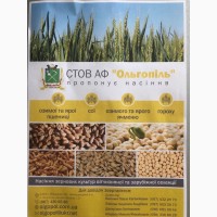 Продам насіння зернових культур вітчизняної та зарубіжноі селекціі
