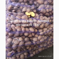 Продам товарну та насінневу картоплю Королева Анна, Голандія, Польша