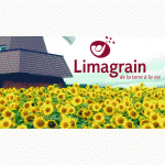Продам насіння соняшника Лимагрейн/Limagrain