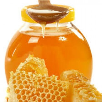 Купуємо мед оптом від 300 кг до будь-яких обсягів