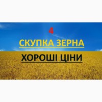 Закуповуємо кукурудзу у сільгоспвиробників, по Хустському районі