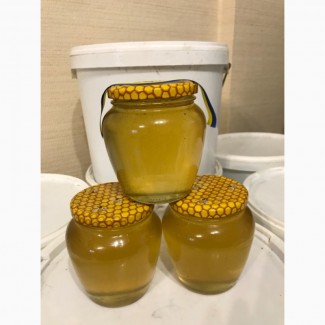 Продам мед з власної пасіки