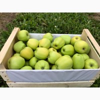Яблука з саду 2020