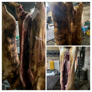 Мясо свинины Одесса продажа
