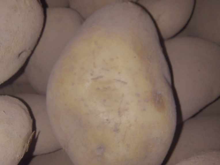 Фото 4. Продам Товарну картоплю / Товарний картофель