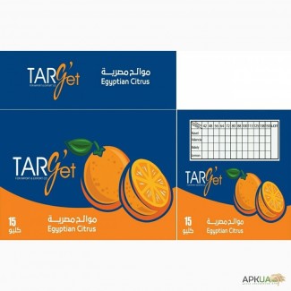 Оптовая поставка цитрусовых из Египта, .Апельсин с доставкой, урожай 2016-2017 года