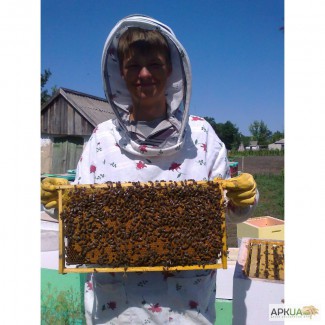 Продам пчелосемьи на рамку 435*230