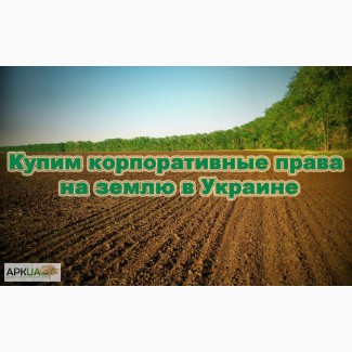 Куплю корпоративные права на землю (сельхозпредприятие) в Украине